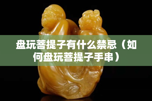 盤玩菩提子有什么禁忌（如何盤玩菩提子手串）