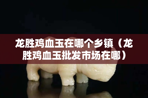 龍勝雞血玉在哪個鄉鎮（龍勝雞血玉批發市場在哪）