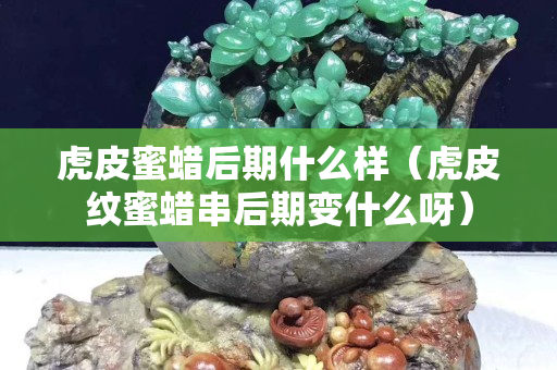 虎皮蜜蠟后期什么樣（虎皮紋蜜蠟串后期變什么呀）