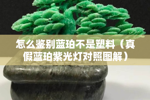 怎么鑒別藍珀不是塑料（真假藍珀紫光燈對照圖解）