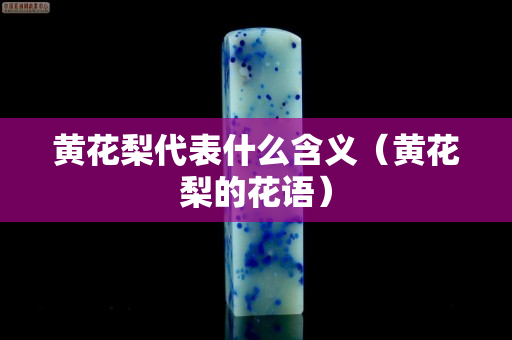 黃花梨代表什么含義（黃花梨的花語）