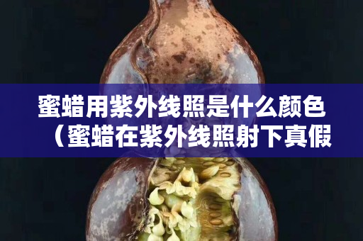 蜜蠟用紫外線照是什么顏色（蜜蠟在紫外線照射下真假對比）