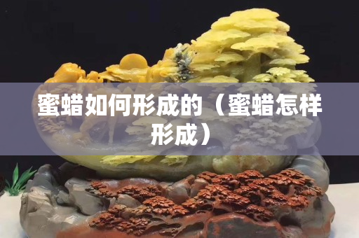 蜜蠟如何形成的（蜜蠟怎樣形成）