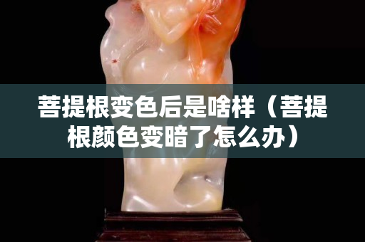 菩提根變色后是啥樣（菩提根顏色變暗了怎么辦）