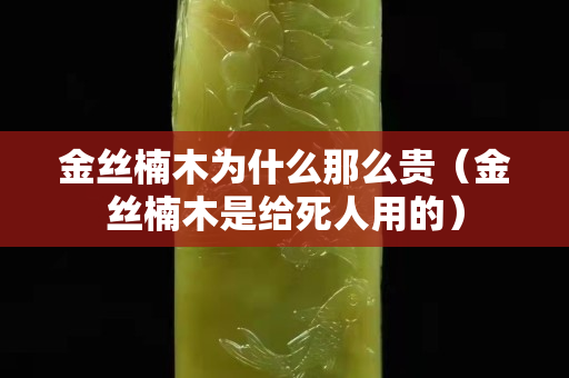 金絲楠木為什么那么貴（金絲楠木是給死人用的）