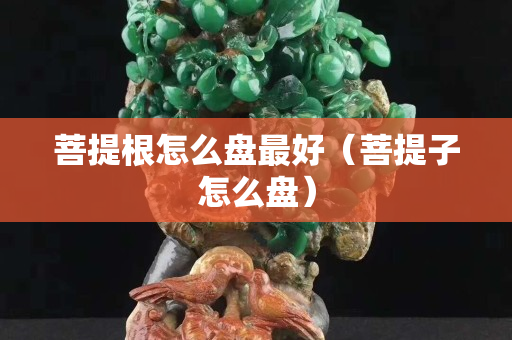 菩提根怎么盤最好（菩提子怎么盤）