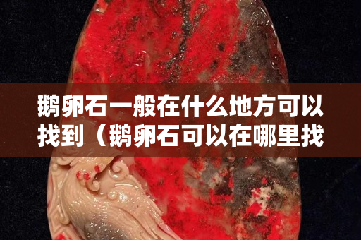 鵝卵石一般在什么地方可以找到（鵝卵石可以在哪里找到）
