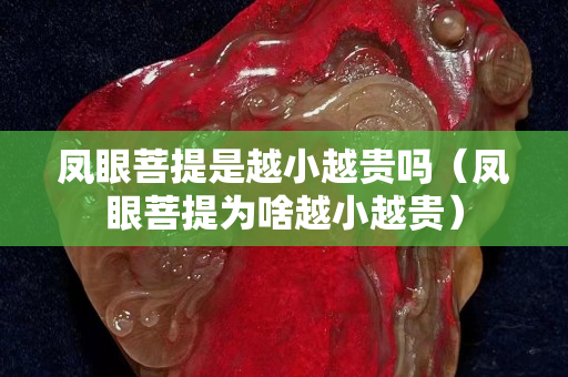 鳳眼菩提是越小越貴嗎（鳳眼菩提為啥越小越貴）