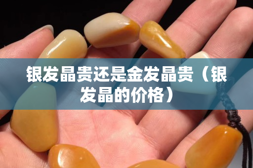 銀發(fā)晶貴還是金發(fā)晶貴（銀發(fā)晶的價格）