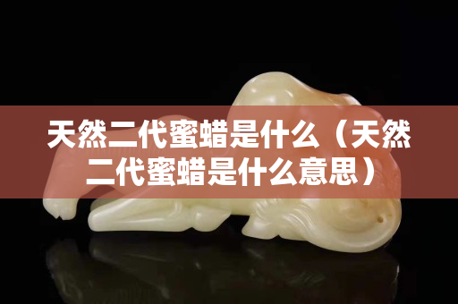 天然二代蜜蠟是什么（天然二代蜜蠟是什么意思）