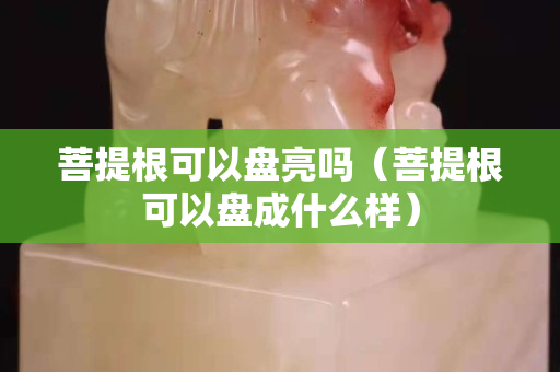 菩提根可以盤亮嗎（菩提根可以盤成什么樣）