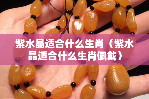 紫水晶適合什么生肖（紫水晶適合什么生肖佩戴）