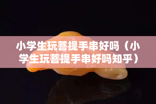 小學生玩菩提手串好嗎（小學生玩菩提手串好嗎知乎）