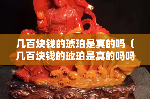 幾百塊錢的琥珀是真的嗎（幾百塊錢的琥珀是真的嗎嗎）