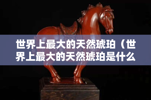 世界上最大的天然琥珀（世界上最大的天然琥珀是什么）