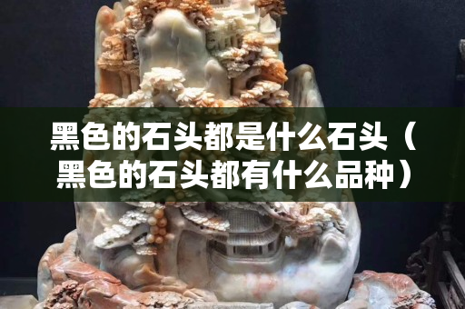 黑色的石頭都是什么石頭（黑色的石頭都有什么品種）