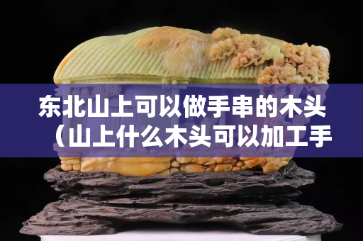 東北山上可以做手串的木頭（山上什么木頭可以加工手串）