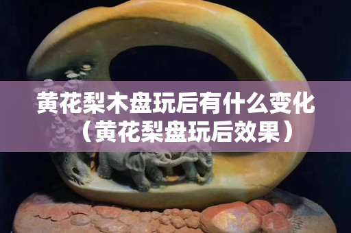 黃花梨木盤玩后有什么變化（黃花梨盤玩后效果）