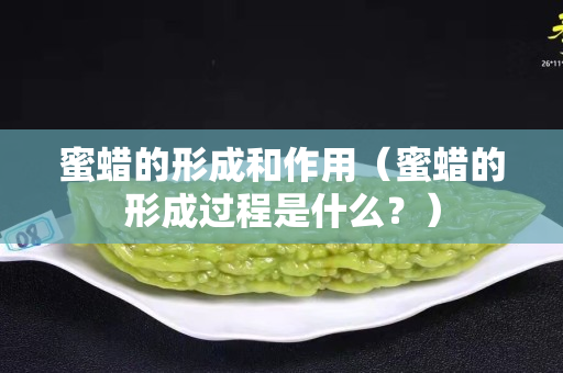 蜜蠟的形成和作用（蜜蠟的形成過程是什么？）