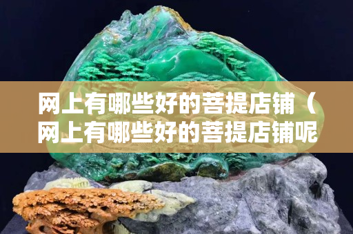 網上有哪些好的菩提店鋪（網上有哪些好的菩提店鋪呢）