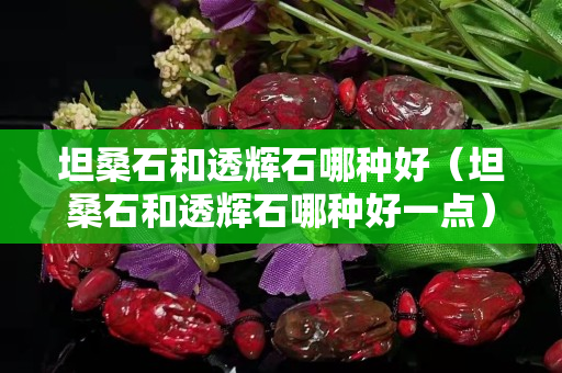坦桑石和透輝石哪種好（坦桑石和透輝石哪種好一點）
