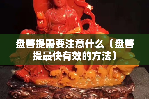 盤菩提需要注意什么（盤菩提最快有效的方法）