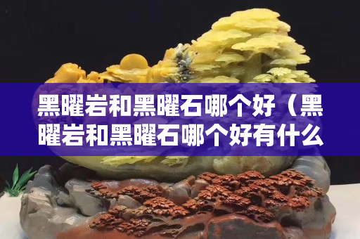 黑曜巖和黑曜石哪個好（黑曜巖和黑曜石哪個好有什么區(qū)別）