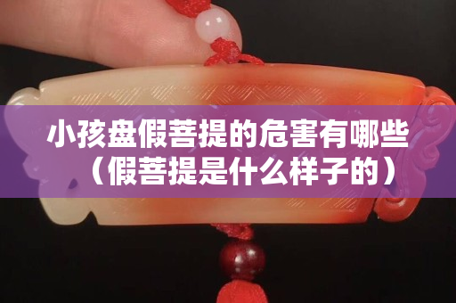 小孩盤假菩提的危害有哪些（假菩提是什么樣子的）