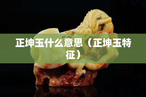 正坤玉什么意思（正坤玉特征）