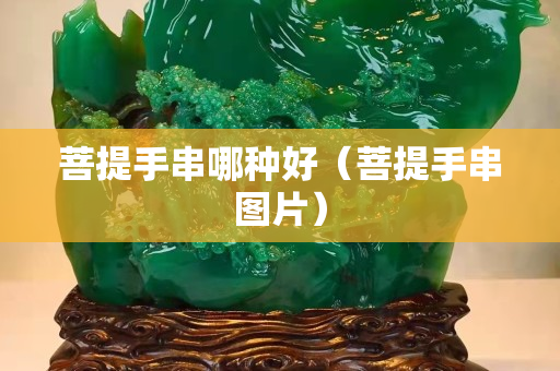 菩提手串哪種好（菩提手串圖片）