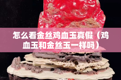 怎么看金絲雞血玉真假（雞血玉和金絲玉一樣嗎）