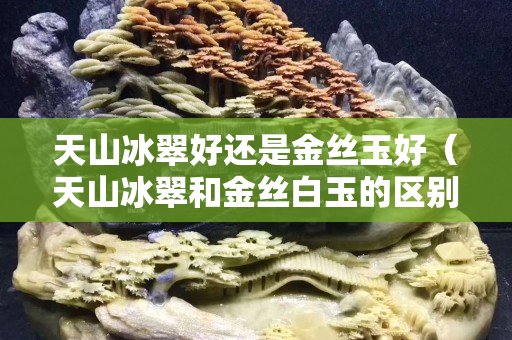天山冰翠好還是金絲玉好（天山冰翠和金絲白玉的區別）