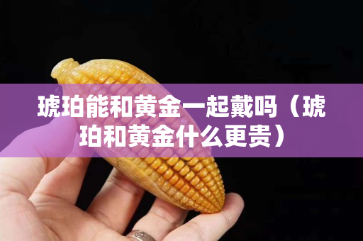 琥珀能和黃金一起戴嗎（琥珀和黃金什么更貴）