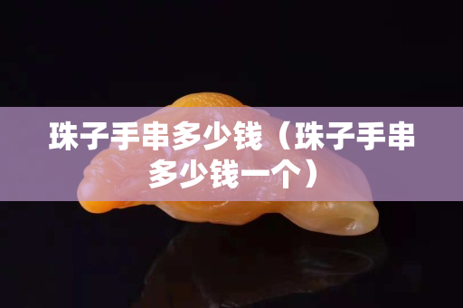 珠子手串多少錢（珠子手串多少錢一個）