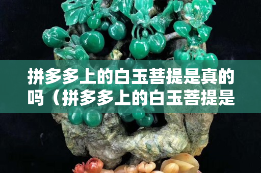 拼多多上的白玉菩提是真的嗎（拼多多上的白玉菩提是真的嗎嗎）