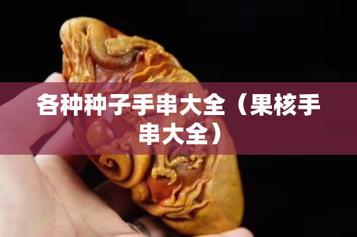各種種子手串大全（果核手串大全）