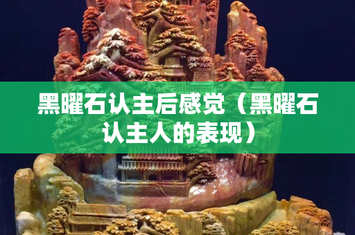 黑曜石認主后感覺（黑曜石認主人的表現）