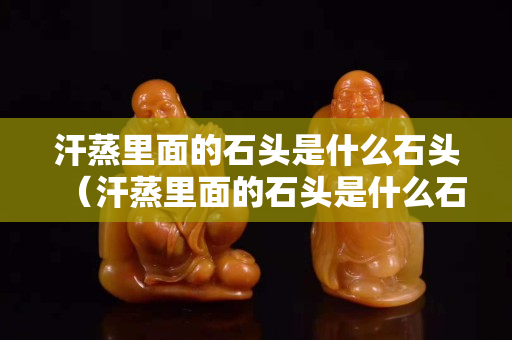 汗蒸里面的石頭是什么石頭（汗蒸里面的石頭是什么石頭啊）