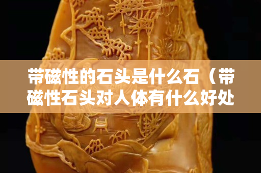 帶磁性的石頭是什么石（帶磁性石頭對人體有什么好處）