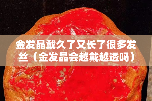 金發晶戴久了又長了很多發絲（金發晶會越戴越透嗎）