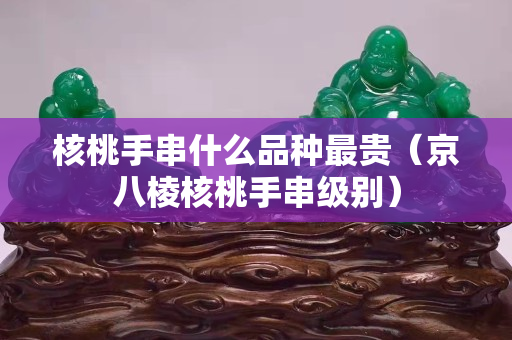 核桃手串什么品種最貴（京八棱核桃手串級別）