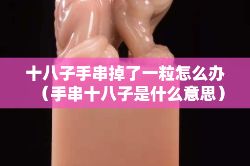 十八子手串掉了一粒怎么辦（手串十八子是什么意思）