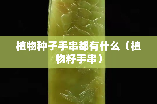植物種子手串都有什么（植物籽手串）