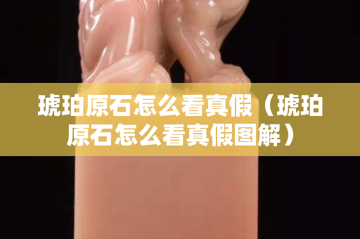 琥珀原石怎么看真假（琥珀原石怎么看真假圖解）