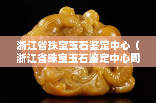浙江省珠寶玉石鑒定中心（浙江省珠寶玉石鑒定中心周末上班嗎）