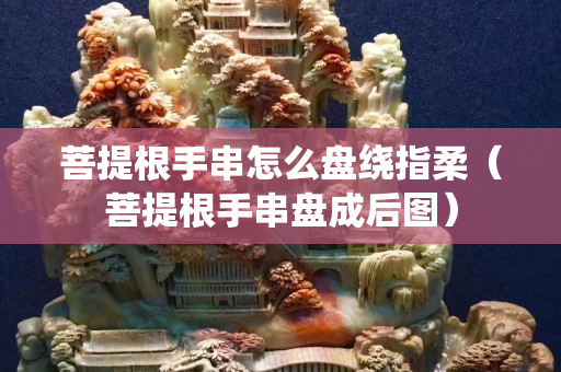 菩提根手串怎么盤繞指柔（菩提根手串盤成后圖）