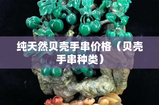 純天然貝殼手串價格（貝殼手串種類）