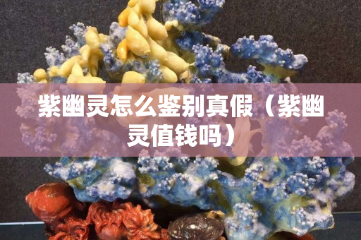 紫幽靈怎么鑒別真假（紫幽靈值錢嗎）