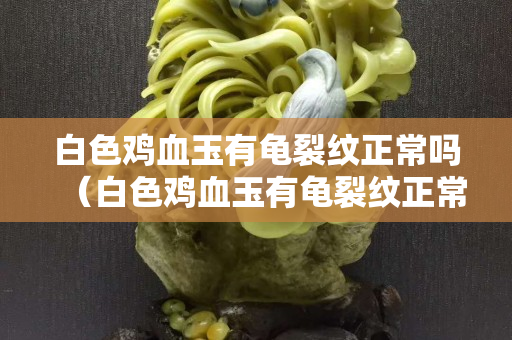 白色雞血玉有龜裂紋正常嗎（白色雞血玉有龜裂紋正常嗎視頻）
