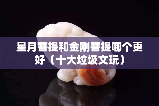 星月菩提和金剛菩提哪個(gè)更好（十大垃圾文玩）